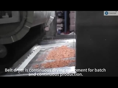 বেল্ট ড্রায়ার